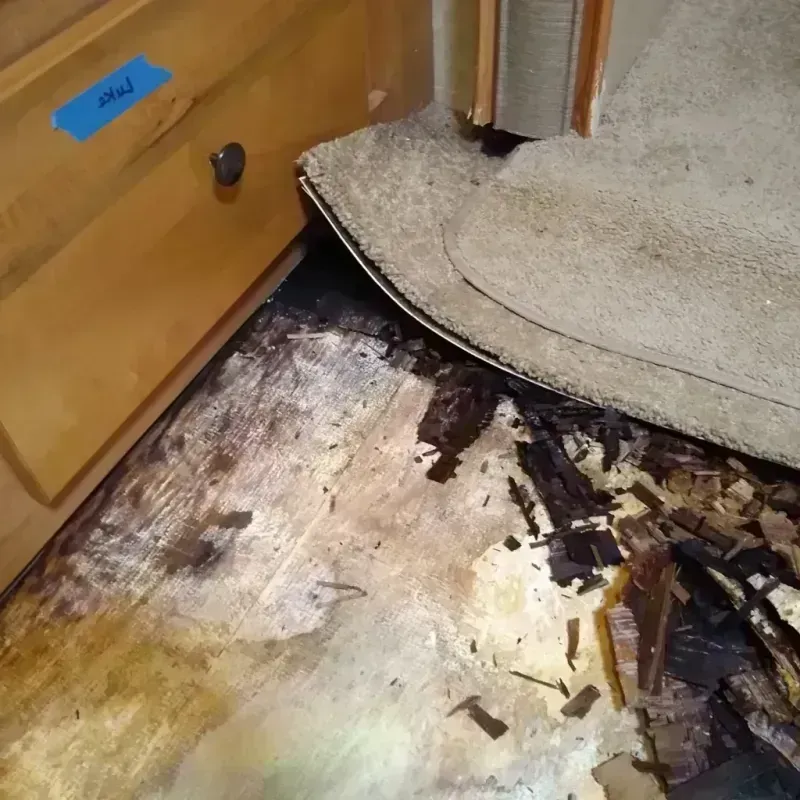 Best Wood Floor Water Damage Service in Seal Beach, CA